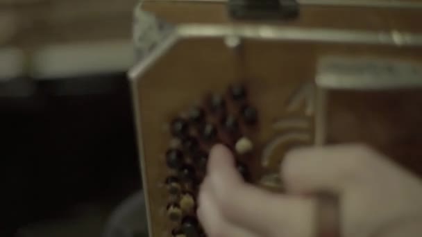 The musician plays the accordion in the bar . Kyiv. Ukraine - Séquence, vidéo