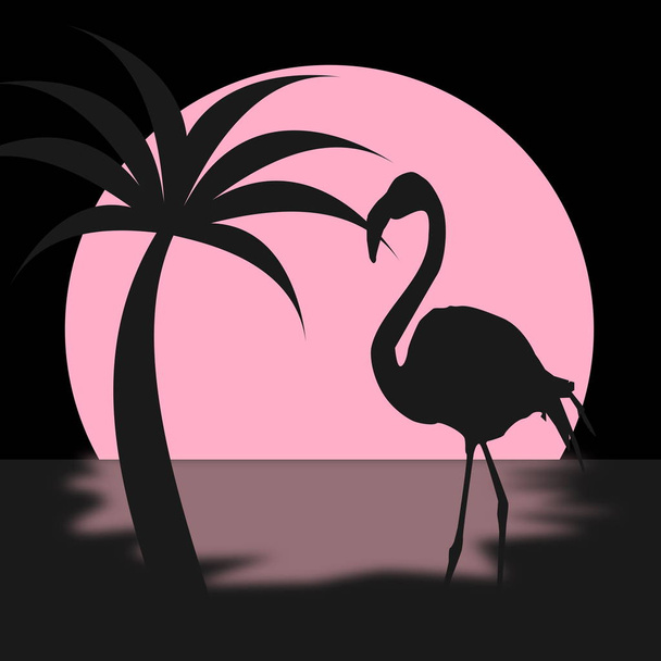 flamingó a naplementében - Fotó, kép