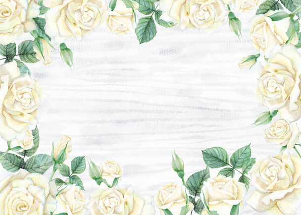 Watercolor of white rose set - Photo, Image