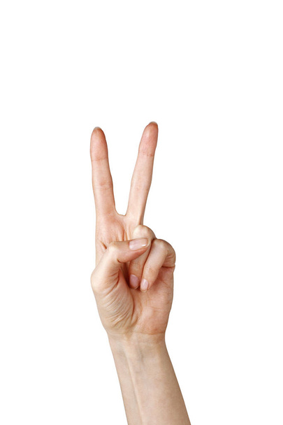 背景に白の隔離がある2本の指の腕の手の体の部分陽気な若い女の子や女性のシンボル通信は平均勝利正の愛と成功の概念を示す平和のサインです. - 写真・画像