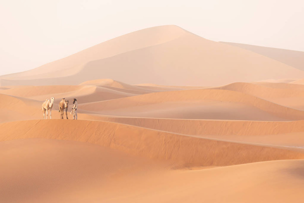 Beduíni a velbloudi jsou na cestě písečnými dunami. Krásný západ slunce s karavanou v poušti Sahara, Maroko, Afrika Silueta nomád muž s barevnou krajinou. - Fotografie, Obrázek