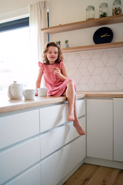 A cute small girl sitting on kitchen counter indoors at home, eating biscuits. - Фото, изображение