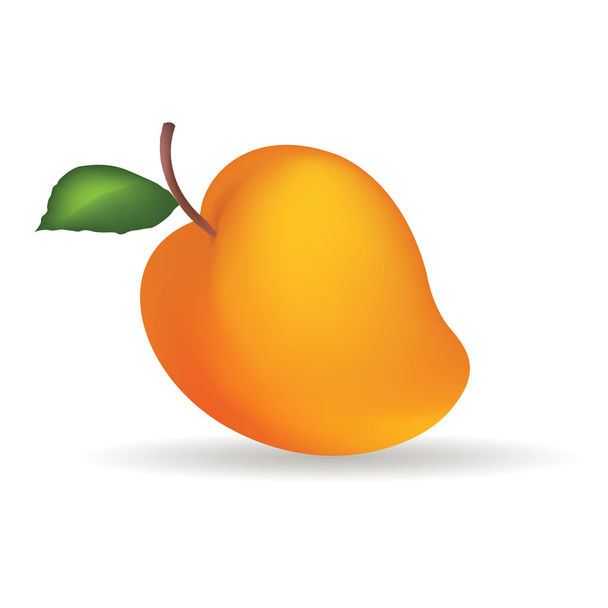 Mango - Вектор,изображение