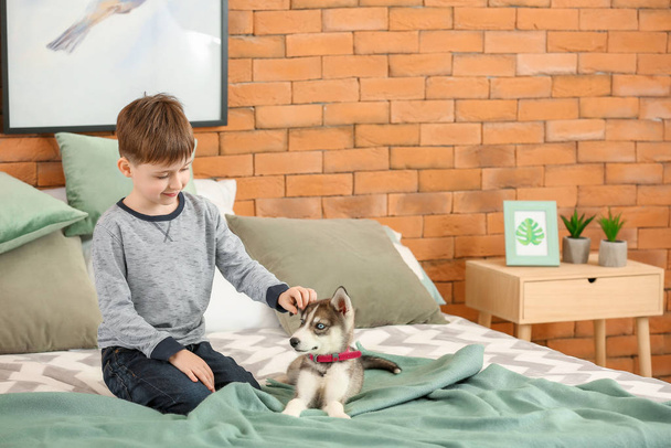 Little boy with cute husky puppy in bedroom - Фото, зображення