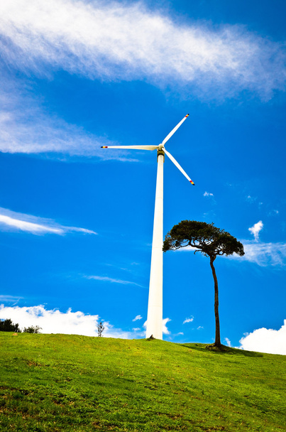 turbiny wiatrowe na łące - Zdjęcie, obraz
