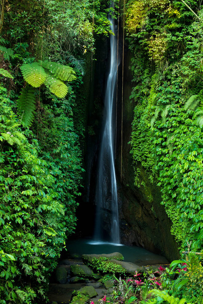 Paisaje de cascada. Hermosa cascada oculta Leke Leke en Bali. Cascada en la selva tropical. Velocidad de obturación lenta, fotografía en movimiento
. - Foto, Imagen