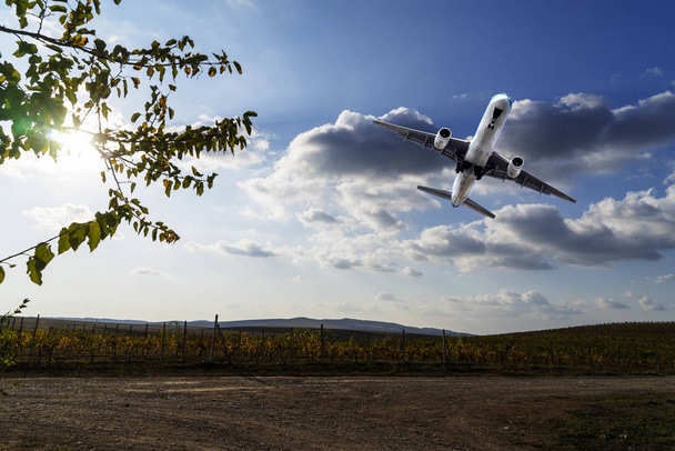 Самолет летит в небе над виноградным полем
. - Фото, изображение