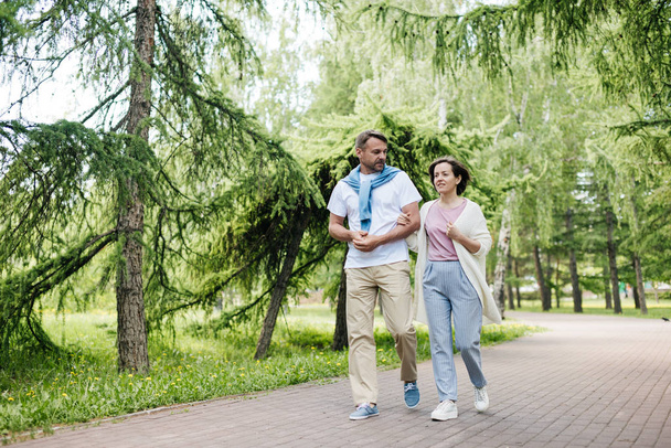 Couple walking in the park among the trees. - Фото, зображення