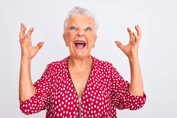 Starší šedovlasá žena v červené neformální bundě, stojící nad osamělým bílým pozadím, šíleně křičící a křičící s agresivním výrazem a zdviženýma rukama. Koncept frustrace. - Fotografie, Obrázek