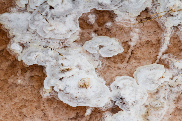 sal de río y sal cristalizada
 - Foto, Imagen