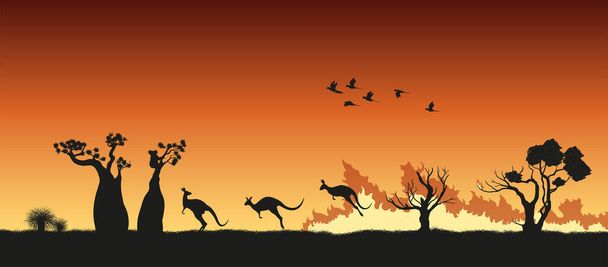 Чорні силуети австралійських тварин у лісовій пожежі. Моліться за Австралію. Сцена лісового пожежі з кенгуру, коали і папугами. - Вектор, зображення