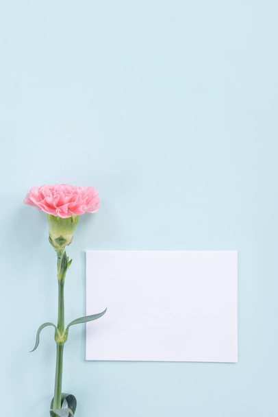 Beautiful, elegant pink carnation flower over bright light blue table background, concept of Mother's Day flower gift, top view, flat lay, overhead - Valokuva, kuva