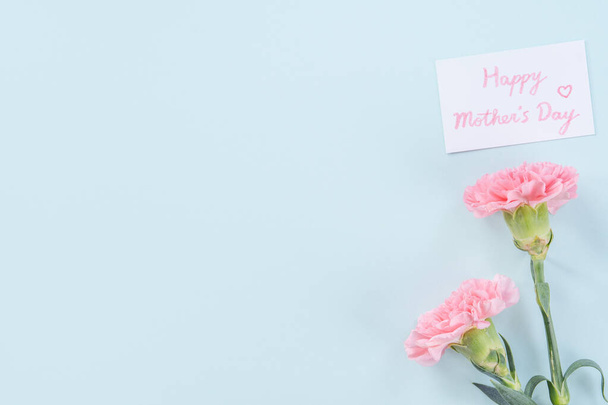 Beautiful, elegant pink carnation flower over bright light blue table background, concept of Mother's Day flower gift, top view, flat lay, overhead - Φωτογραφία, εικόνα