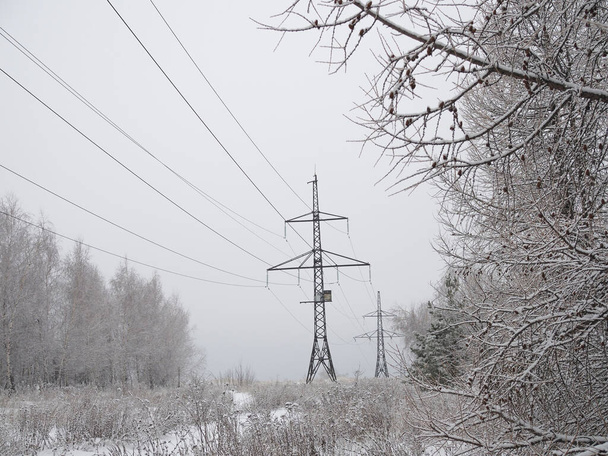Electricity power line with frost crystals in winter. - Фото, изображение