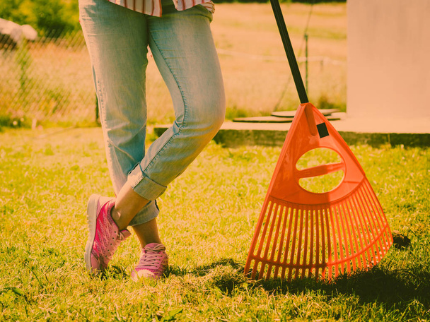 Woman using rake to clean up garden lawn - Valokuva, kuva
