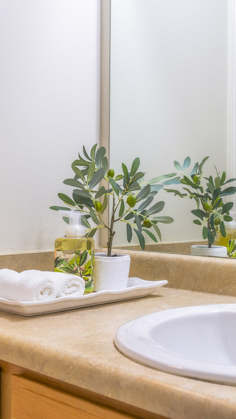 Verticale ijdelheid gebied van badkamer met close-up uitzicht op handdoeken en planten naast de wastafel - Foto, afbeelding