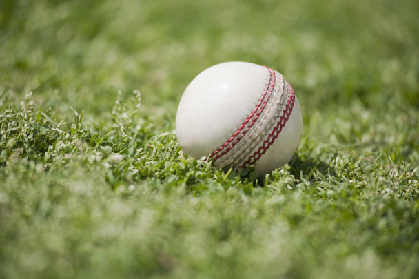 Cricket ball on grass - Φωτογραφία, εικόνα