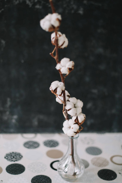 Beautiful cotton flowers in vase. Space for text - Фото, зображення