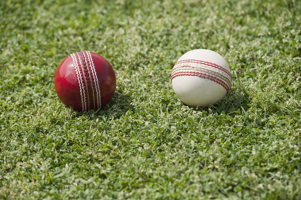 zwei Cricketbälle - Foto, Bild