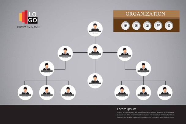 Organigramm-Infografik  - Vektor, Bild