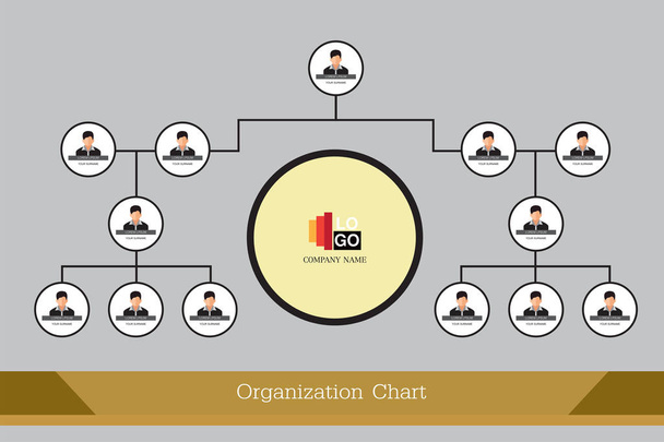 Organization Chart Infographics  - Vector, Image