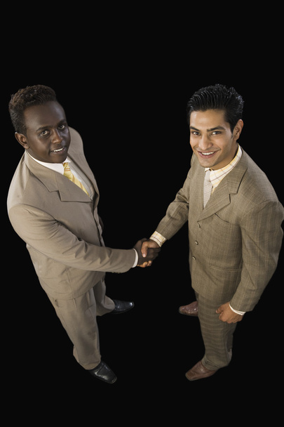 Two businessmen shaking hands - Fotografie, Obrázek