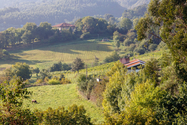 Bask bölgesindeki tepelerde tipik bir ev. - Fotoğraf, Görsel