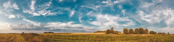 白い雲と青い空に向かって刈られた畑の間に小さな川が流れている。. - 写真・画像