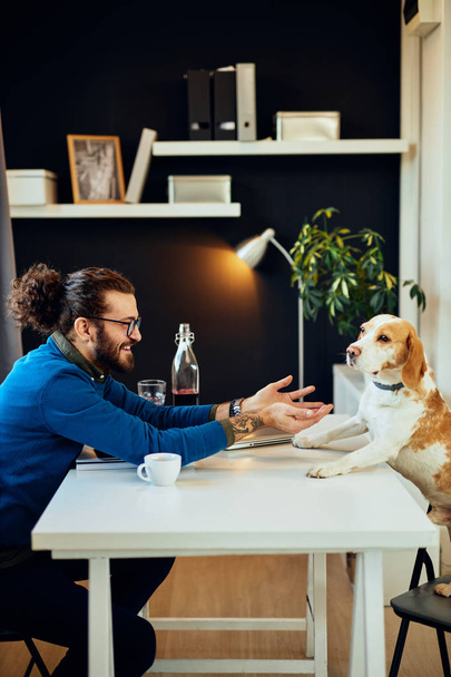 Neşeli gülümseyen yakışıklı beyaz adam ofisinde oturuyor ve köpeğiyle oynuyor.. - Fotoğraf, Görsel