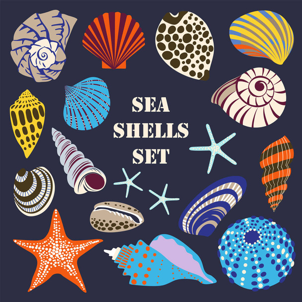 Shell collection - vector silhouette illustration - Вектор,изображение