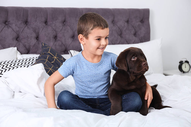 Funny puppy and little boy on bed at home. Friendly dog - Photo, Image
