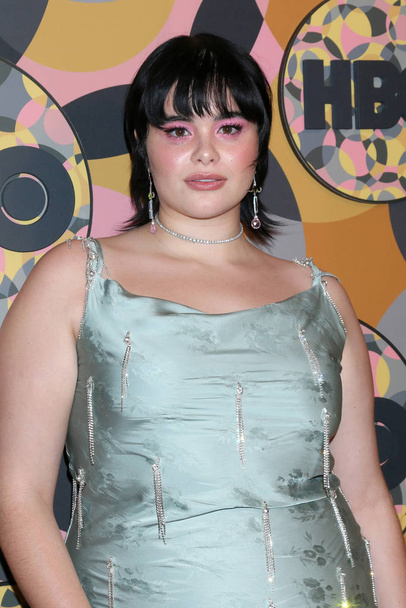 2020 HBO Golden Globe After Party - Photo, Image