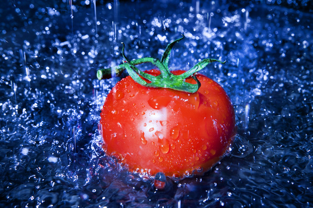 Tomatoes - Foto, Imagen