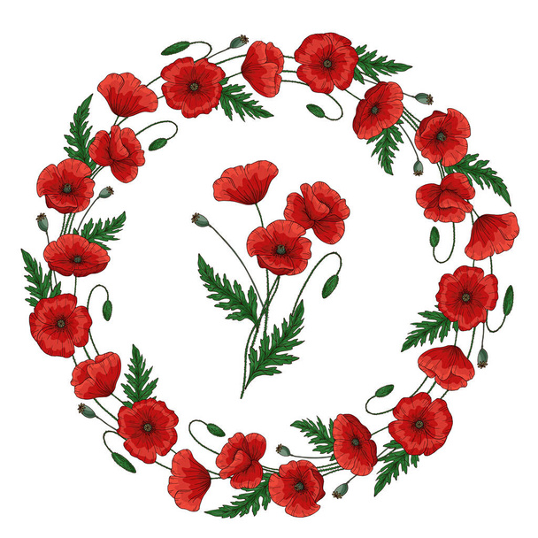 Wreath with red poppy flowers. Round floral frame. Papaver. Green stems and leaves. Hand drawn vector illustration. Isolated on white background. - Wektor, obraz