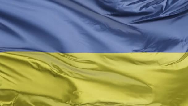 Bandera de Ucrania Realista 3D
 - Imágenes, Vídeo