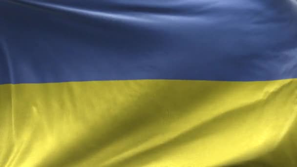 Vlajka Ukrajiny smyčka - Záběry, video