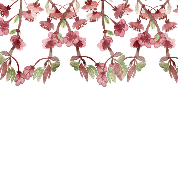 Watercolor hand painted nature floral romantic banner composition with pink apple blossom flowers on the branches with green leaves bouquet on the white background for invite and greeting cards - Fotoğraf, Görsel