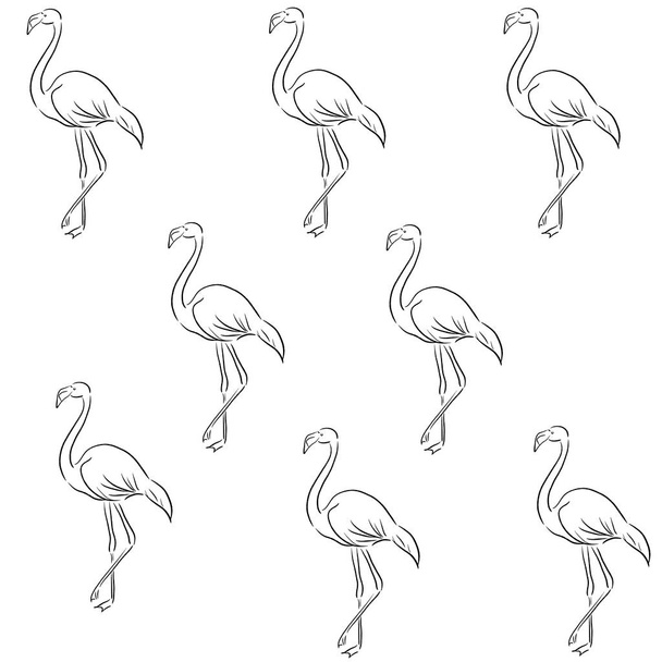  Cute, Bird, Flamingo, animal, vector, illustration - Vetor, Imagem