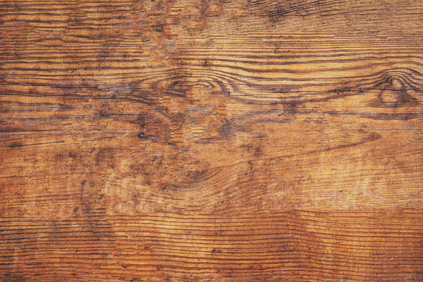 Old brown bark wood texture. Natural wooden backgroun - Foto, imagen