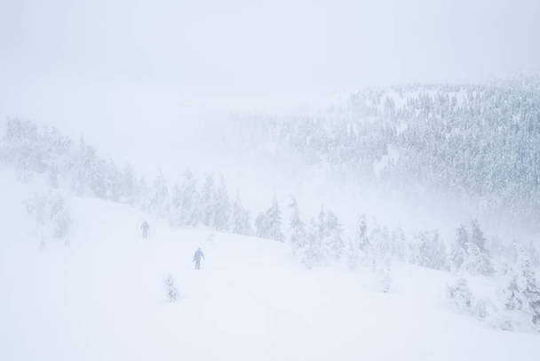 Touristes perdus dans une randonnée hivernale en montagne
 - Photo, image