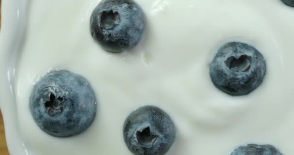 Joghurt mit frischen reifen Blaubeeren, Nahaufnahme - Filmmaterial, Video