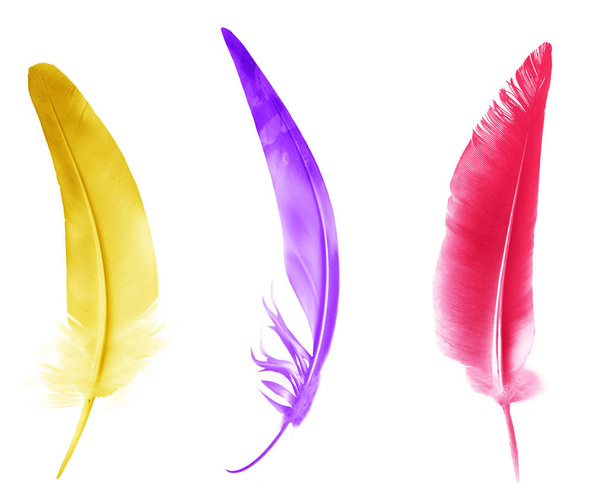 Beautiful color feathers isolated on white background - Φωτογραφία, εικόνα