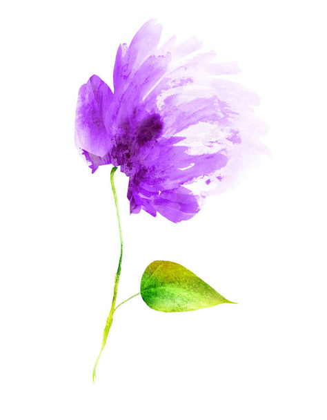 Akvarel květiny, izolované na bílém pozadí - Fotografie, Obrázek