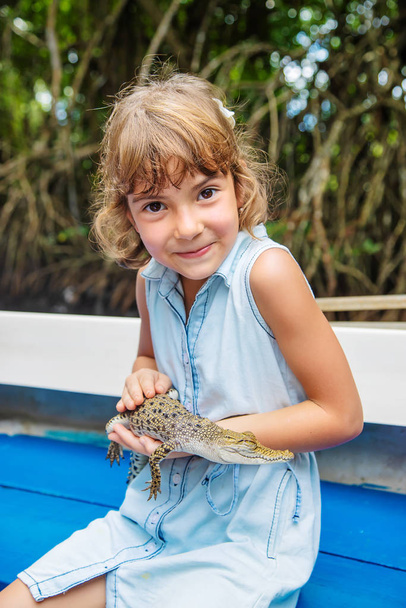 Het kind houdt een kleine krokodil in zijn handen. Selectieve focus. - Foto, afbeelding