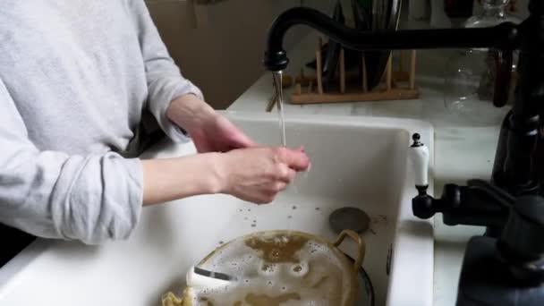 la donna lava un piatto a cucina
 - Filmati, video