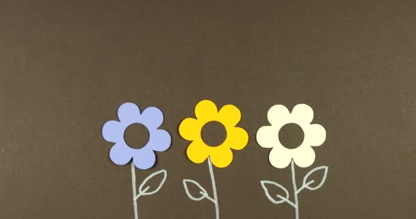 Animated stop motion achtergrond frame van bloeiende papieren bloemen op een gekleurde achtergrond. - Video