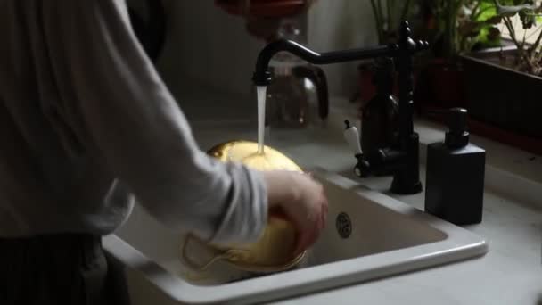 donna lava una padella nella sua cucina
 - Filmati, video