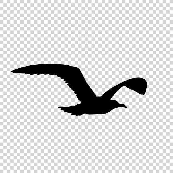 Silhouette détaillée oiseau noir isolé
 - Vecteur, image