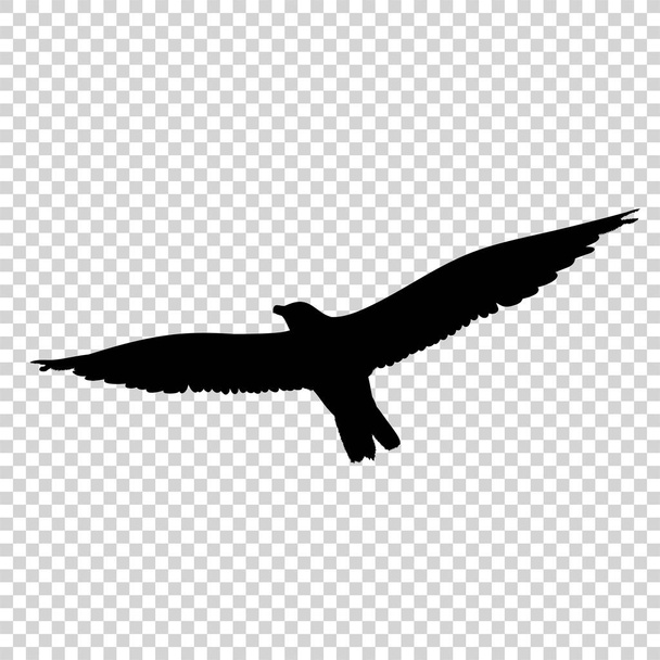 Detailní pták černá silueta izolované - Vektor, obrázek
