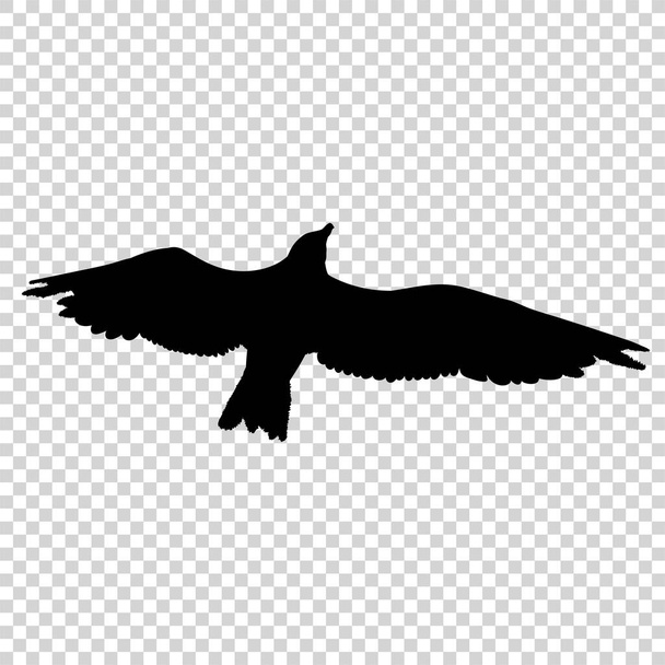 Детальний птах чорний силует ізольований
 - Вектор, зображення